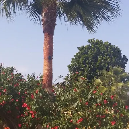 Catherine's Pafos