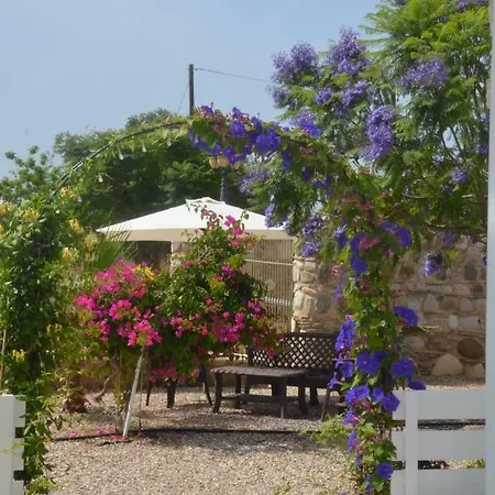 Catherine's Pafos